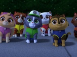 Paw Patrol, la Pat'Patrouille
