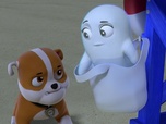 Paw Patrol, la Pat'Patrouille