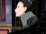 Naruto Shippuden