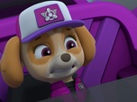 Paw Patrol, la Pat'Patrouille
