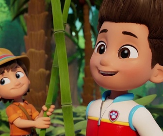 Paw Patrol, la Pat'Patrouille - La catapulte à noix de coco