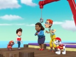 Paw Patrol, la Pat'Patrouille