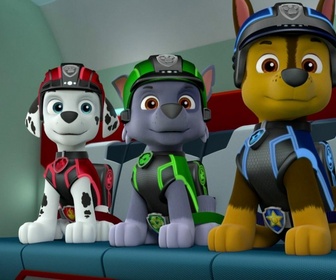 Paw Patrol, la Pat'Patrouille - Mission secrète : les amis de la princesse