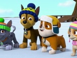 Paw Patrol, la Pat'Patrouille Paw Patrol, la Pat'Patrouille