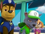 Paw Patrol, la Pat'Patrouille