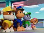 Paw Patrol, la Pat'Patrouille Paw Patrol, la Pat'Patrouille