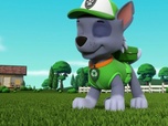 Paw Patrol, la Pat'Patrouille