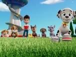 Paw Patrol, la Pat'Patrouille