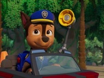 Paw Patrol, la Pat'Patrouille