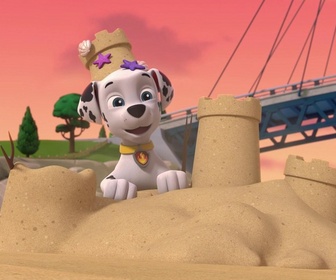 Paw Patrol, la Pat'Patrouille - La disparition de la limande