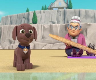 Paw Patrol, la Pat'Patrouille - Leçon de ski nautique