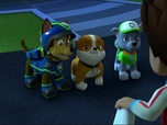 Paw Patrol, la Pat'Patrouille