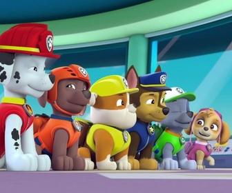 Paw Patrol, la Pat'Patrouille - Le mambo des hippos