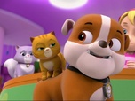 Paw Patrol, la Pat'Patrouille