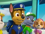 Paw Patrol, la Pat'Patrouille