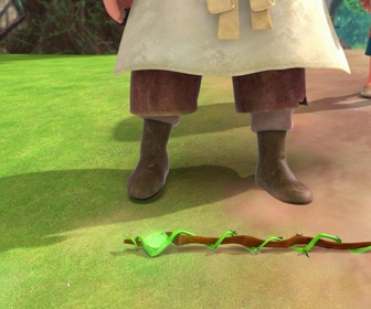 Robin des Bois : Malice à Sherwood - Robin des bois - Le prince charmant