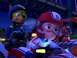 Paw Patrol, la Pat'Patrouille