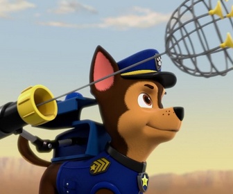 Paw Patrol, la Pat'Patrouille - Les deux Luke Star