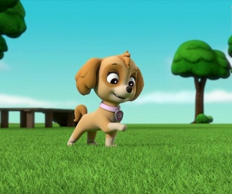 Paw Patrol, la Pat'Patrouille - Le robot-serveur détraqué