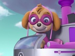 Paw Patrol, la Pat'Patrouille