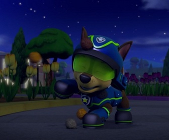 Paw Patrol, la Pat'Patrouille - Les tulipes