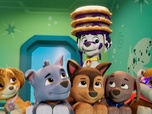 Paw Patrol, la Pat'Patrouille
