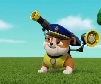 Paw Patrol, la Pat'Patrouille - Une folle journée
