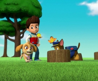 Paw Patrol, la Pat'Patrouille - Le bébé pingouin