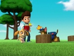 Paw Patrol, la Pat'Patrouille