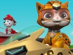 Paw Patrol, la Pat'Patrouille