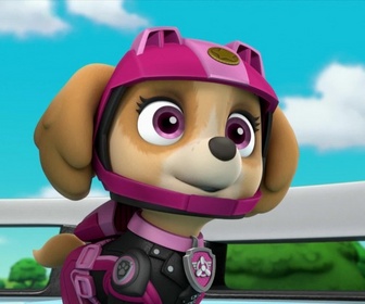 Paw Patrol, la Pat'Patrouille - La Moto Patrouille : La spirale rocheuse