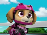 Paw Patrol, la Pat'Patrouille