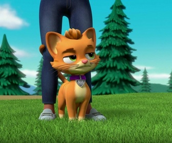 Paw Patrol, la Pat'Patrouille - Super Patrouille : Puissance maximale