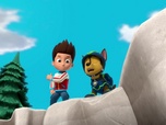 Paw Patrol, la Pat'Patrouille