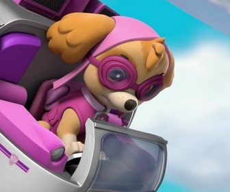 Paw Patrol, la Pat'Patrouille - Le spectacle des chats