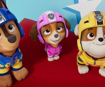 Paw Patrol, la Pat'Patrouille - La Pat' Patrouille des Airs : Le sauvetage de l'avion royal