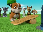 Paw Patrol, la Pat'Patrouille Paw Patrol, la Pat'Patrouille