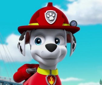 Paw Patrol, la Pat'Patrouille - Des bébêtes en vadrouille