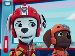 Paw Patrol, la Pat'Patrouille