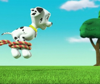 Paw Patrol, la Pat'Patrouille - Atchoum !