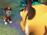 Paw Patrol, la Pat'Patrouille