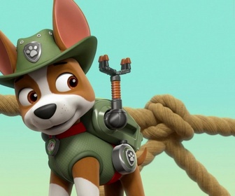 Paw Patrol, la Pat'Patrouille - Le courrier du facteur