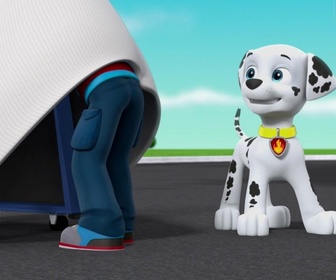 Paw Patrol, la Pat'Patrouille - La machine à rétrécir