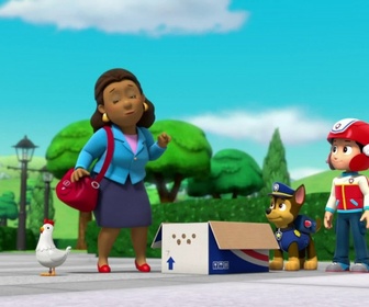 Paw Patrol, la Pat'Patrouille - Le feu d'artifice