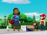 Paw Patrol, la Pat'Patrouille