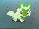 Pokémon