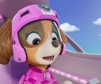 Paw Patrol, la Pat'Patrouille - La Pat' Patrouille des Airs : Le sauvetage de l'avion royal