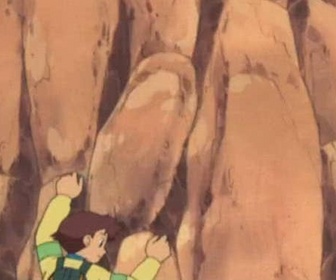 Comment attraper son premier Pokémon