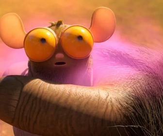 Les as de la jungle à la rescousse - 31/12/2025