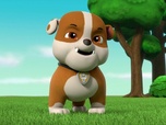 Paw Patrol, la Pat'Patrouille